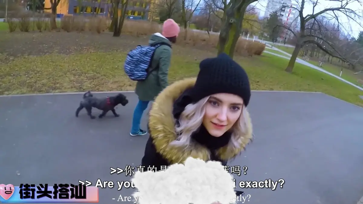 《捷克街头搭讪系列》迅雷网盘下载资源 | 2025年HD日语完整版《捷克街头搭讪系列》无删减高清动漫在线观看