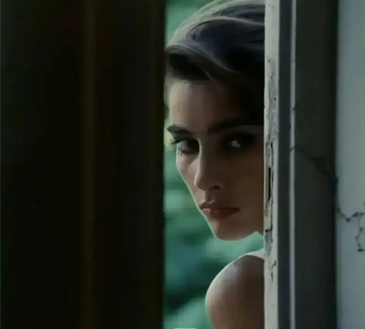 《激情丛林》迅雷网盘下载资源-《激情丛林》完整版高清中字在线观看-意大利电影无删减版