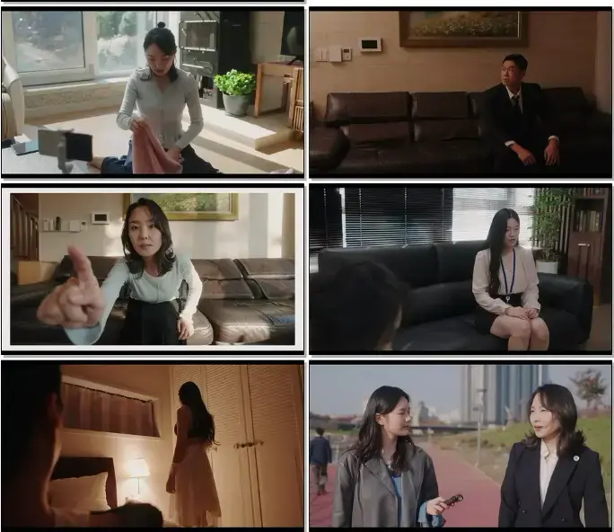 立即观看《内乱夫人》未删减版，下载《内乱夫人》1080P高清资源-百度网盘在线播放