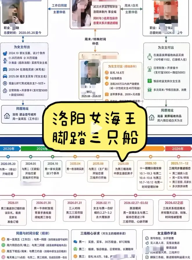 《洛阳女海王刘亚阁》35页PPT完整版资源-《洛阳女海王刘亚阁》HD高清无删减全集百度网盘下载